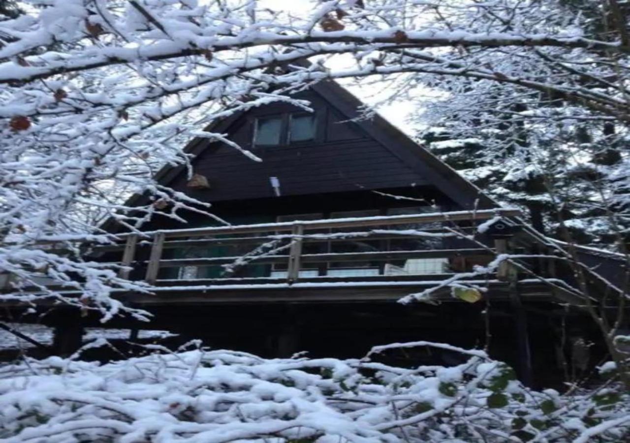 Charming Chalet Whistler In The Heart Of Durbuy Eksteriør bilde
