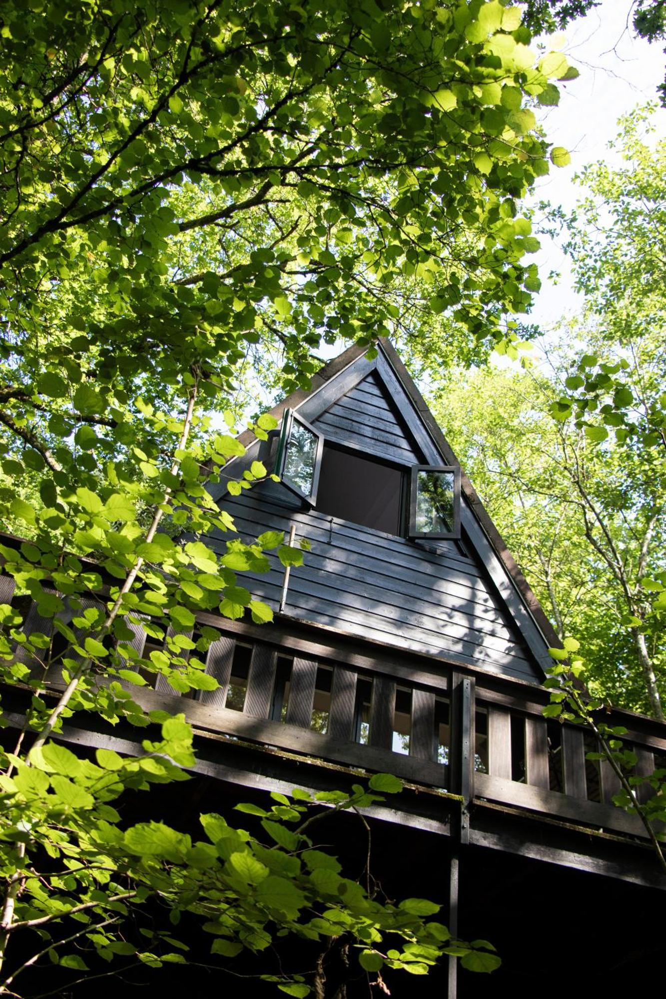 Charming Chalet Whistler In The Heart Of Durbuy Eksteriør bilde